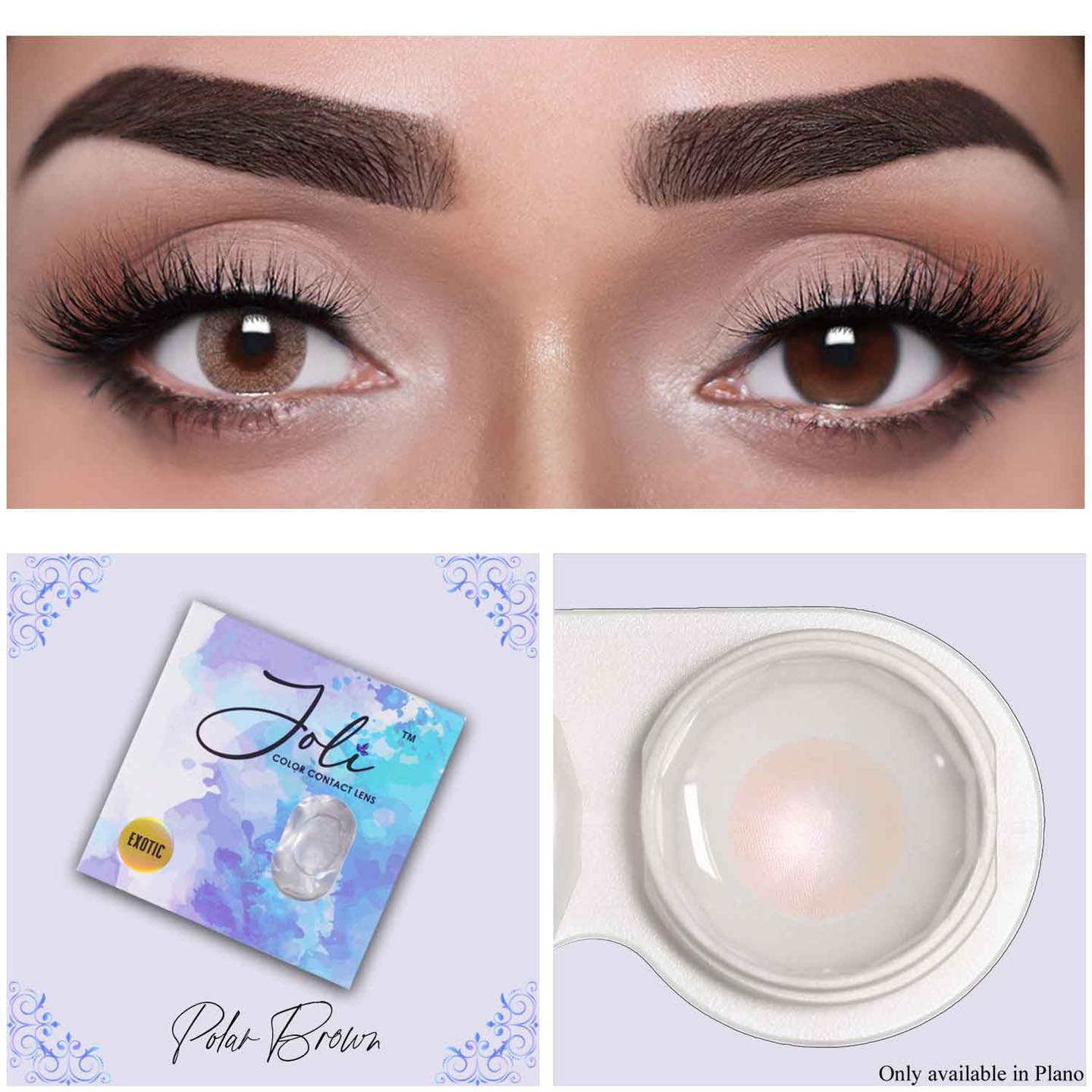 polar-brown Joli Exotic Polar Brown - Image 1
